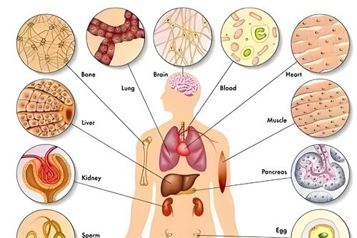 Bioglutide NA-931 Routine | Shaanxi BLOOM Tech Co., Ltd Bioglutide NA-931 Routine | Shaanxi BLOOM Tech Co., Ltd