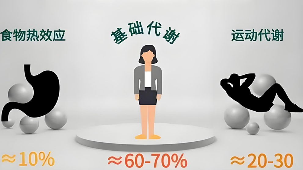 Bioglutide NA-931 Drugs | Shaanxi BLOOM Tech Co., Ltd Bioglutide NA-931 Drugs | Shaanxi BLOOM Tech Co., Ltd