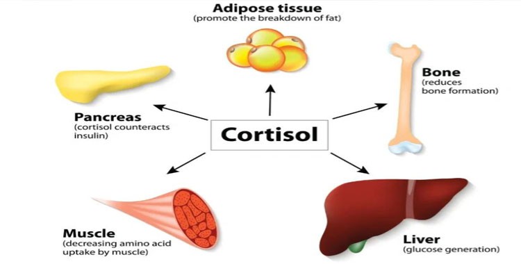 Selank Price | Shaanxi BLOOM Tech Co., Ltd Selank Price | Shaanxi BLOOM Tech Co., Ltd